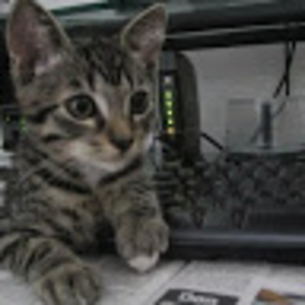 Meet your Posher, Maemae